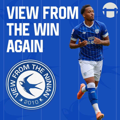 episode View From the Win Again artwork