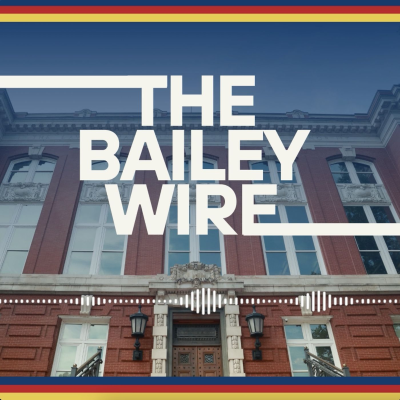 The Bailey Wire
