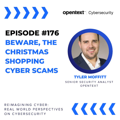 episode Beware, The Christmas Shopping Cyber Scams - Ep 176 artwork