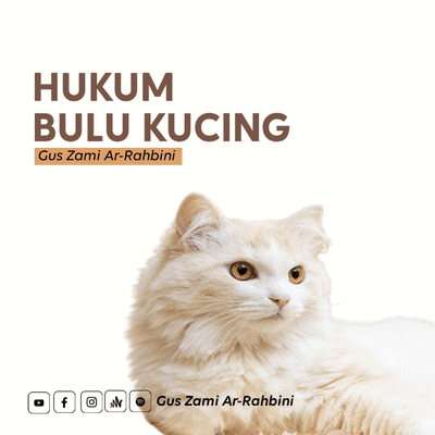 episode Hukum Bulu Kucing - Gus Zami Ar-Rahbini artwork