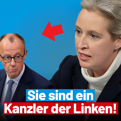 episode Alice Weidel rechnet mit Wahlbetrüger Merz ab! - Bundestagsrede artwork