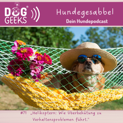 episode #71 DogGeeks-Hundegesabbel „Helikoptern: Wie Überbehütung zu Verhaltensproblemen führt." artwork