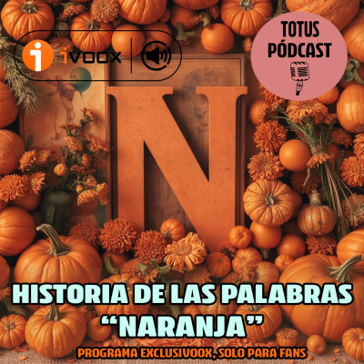 episode NARANJA - Episodio exclusivo para mecenas artwork