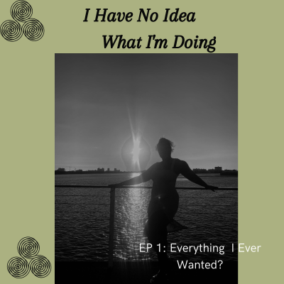I Have No Idea What I'm Doing