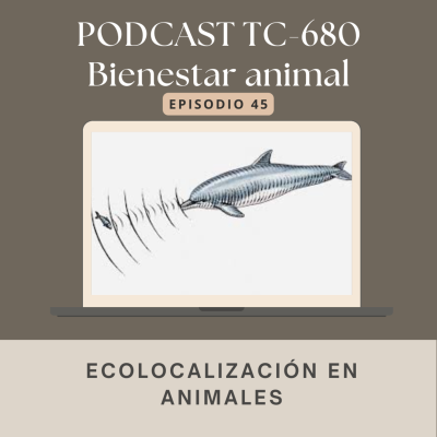 episode Episodio 45. Ecolocalización en animales artwork
