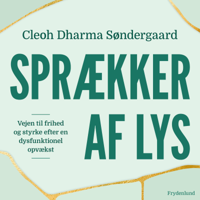 Cover image Sprækker af lys