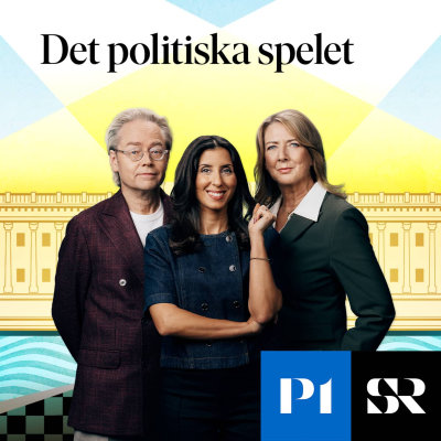 Omslagafbeelding van de show Det politiska spelet