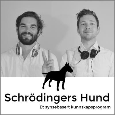 episode Schrödingers Hund - Salt artwork