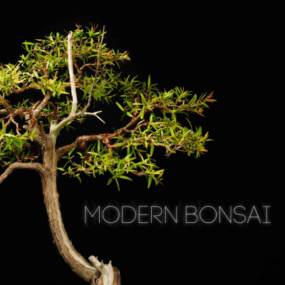 episode Modern Bonsai Episode 23 " Bonsai Time " Ft Kevin Faris & Ryan Huston artwork
