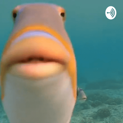 Billede af showet 4 Retards With 2 Much Time