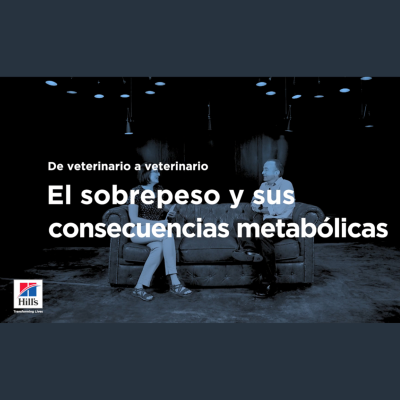 episode De veterinario a veterinario: entrevista a Juan José Ramos artwork