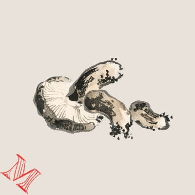 episode Mycélium artwork