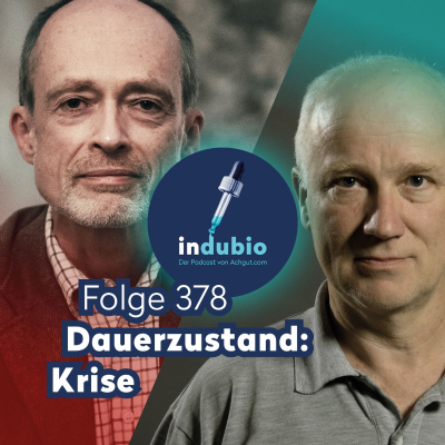 episode Flg. 378 - Dauerzustand: Krise artwork