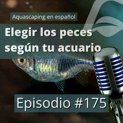 episode Ep 175 | No improvises, elige los peces en función de tu tipo de acuario artwork