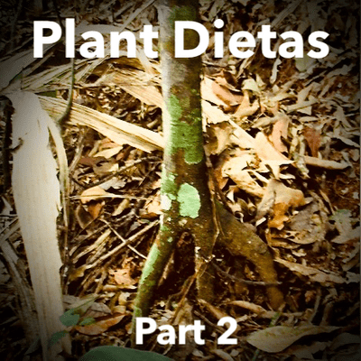episode Plant Dietas Part 2 artwork