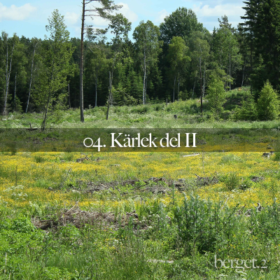 episode Episod 4: Kärlek del II artwork
