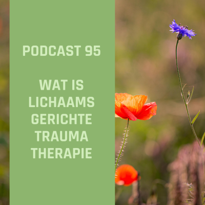 episode #95 Wat is lichaamsgerichte traumatherapie artwork