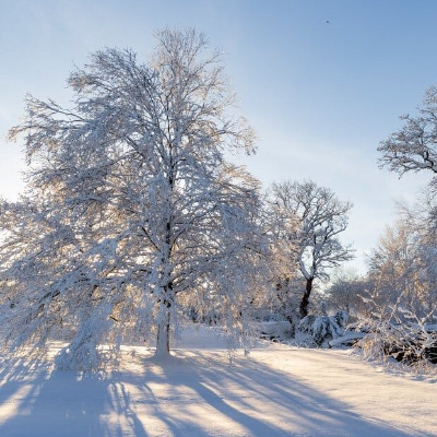 episode Garden Books We’re Obsessed With This Year artwork