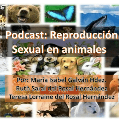 episode Reproducción sexual en animales artwork