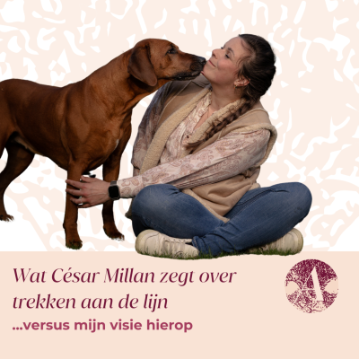 episode Wat César Millan zegt over trekken aan de lijn versus mijn visie hierop #116 artwork
