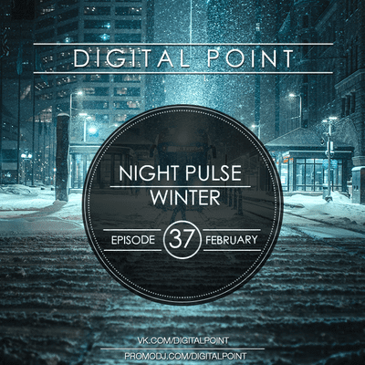 episode Digital Point - Night Pulse - Episode 037 [February 2021] #37 artwork
