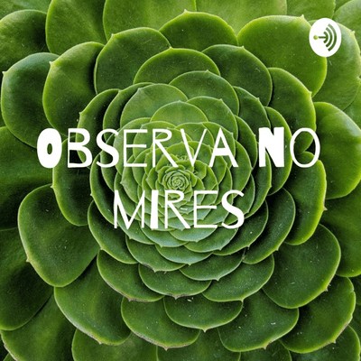 Observa no mires