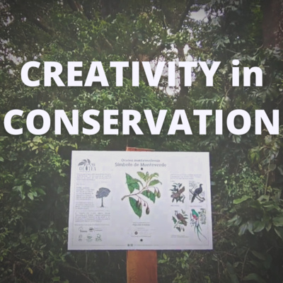 episode Creativity in Conservation - with Marco Molina artwork
