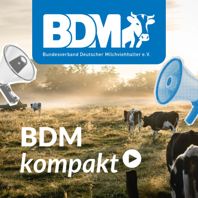 BDM kompakt