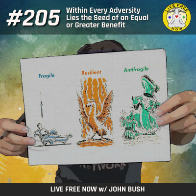 episode LFN #205 - Within Every Adversity Lies the Seed of an Equal or Greater Benefit (Live Free Now!) artwork