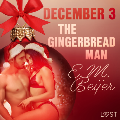 December 3: The Gingerbread Man - An Erotic Christmas Calendar