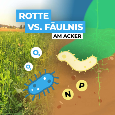 episode Rotte vs. Fäulnis am Acker – und was das mit der Zwischenfrucht zu tun hat artwork