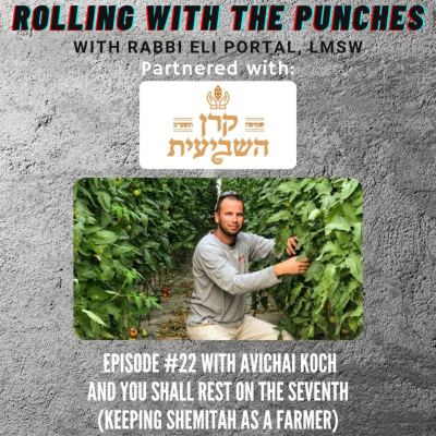 episode E22: And you shall rest on the seventh (Keeping Shemitah as a farmer) with Avichai Koch artwork