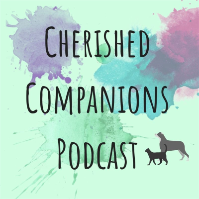 episode Episode 11: Meditating with your pets artwork