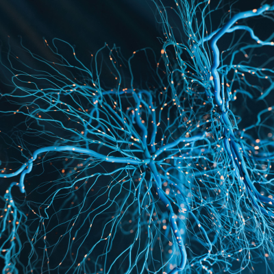 episode Entre probetas - Neurología, investigación y clínica… - 06/05/25 artwork