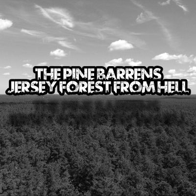 episode Pine Barrens: Jersey Forest From Hell artwork