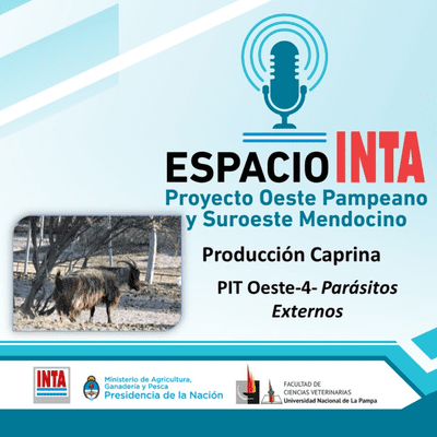 episode PIT Oeste-4- Parásitos Externos artwork