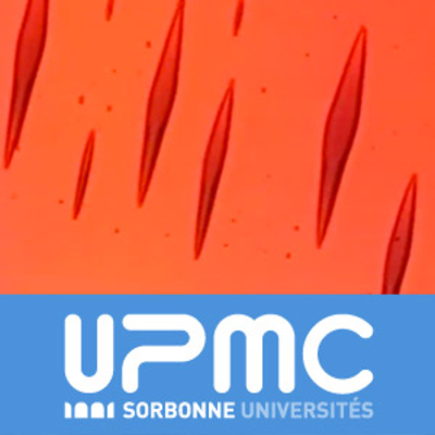 Des liquides magnetiques : les ferrofluides
