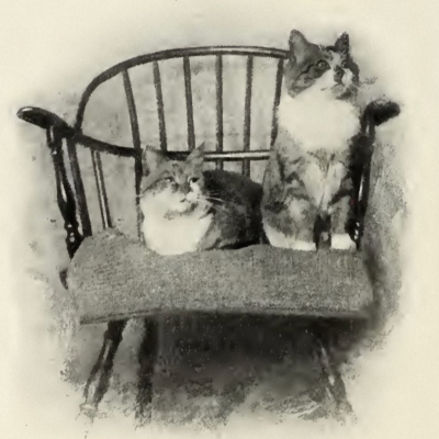 episode S08 E01 | Undomesticated: Nonhuman Animals and Queer Resistance in Mary Eleanor Wilkins Freeman artwork