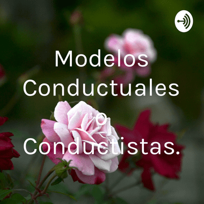 Modelos Conductuales o Conductistas.