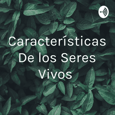 Características De los Seres Vivos