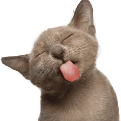 LENGUAS DE GATO