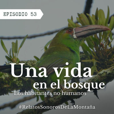 episode Ep. 53 Una vida en el bosque - Los habitantes no humanos artwork