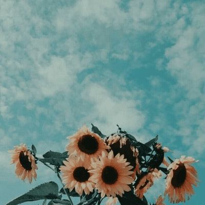 episode Tak apa, bersedihlah artwork