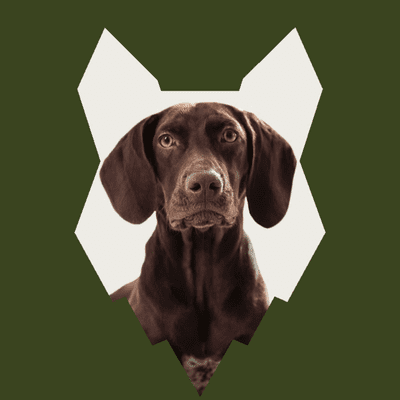 episode When Should My GERMAN SHORTHAIRED POINTER Get Their Vaccination artwork