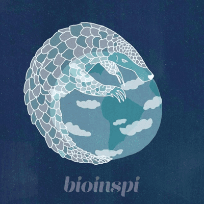 episode 🌍 La résilience du pangolin artwork