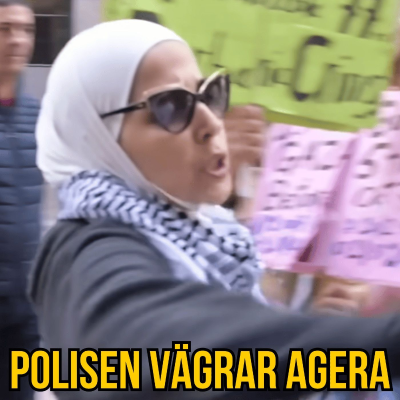 episode Det är nu okej att slå riksdagsledamöter! artwork