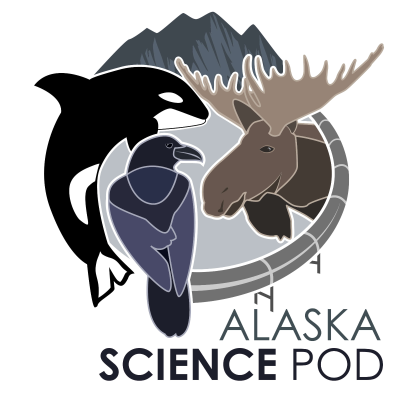 episode Ep. 8: From Alaska to New Zealand, the bar-tailed godwit with Dan Ruthrauff artwork