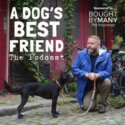 episode Ep 45 - On The Lead Greeting - With Sarah Whitehead artwork