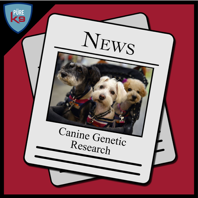 episode Canine Genetic Research artwork