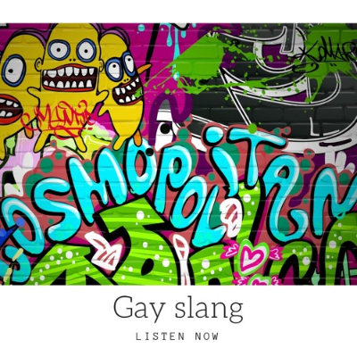 episode Gay slang artwork